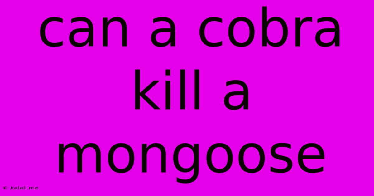 Can A Cobra Kill A Mongoose
