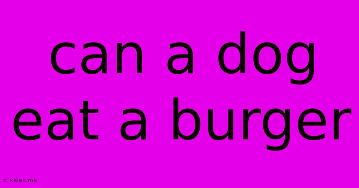 Can A Dog Eat A Burger