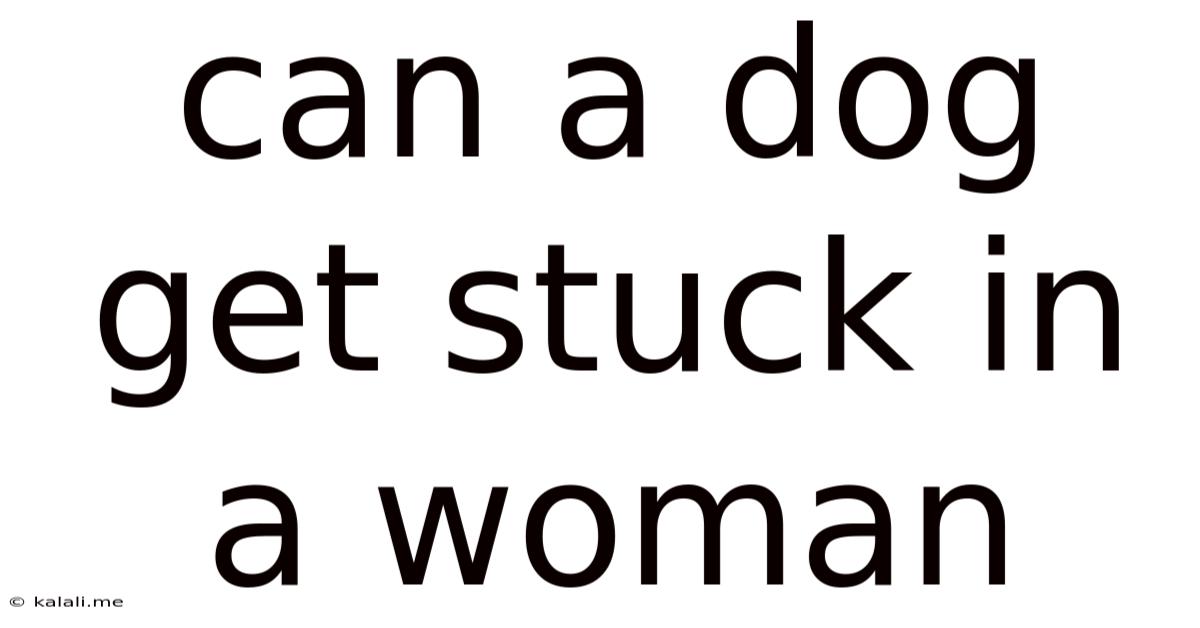 Can A Dog Get Stuck In A Woman