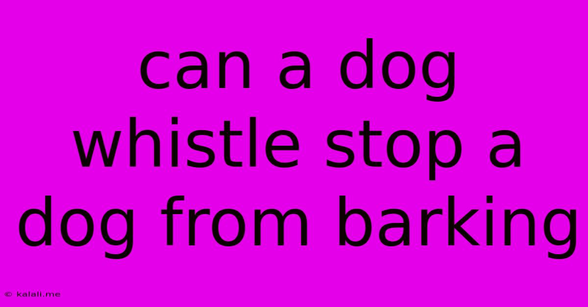 Can A Dog Whistle Stop A Dog From Barking