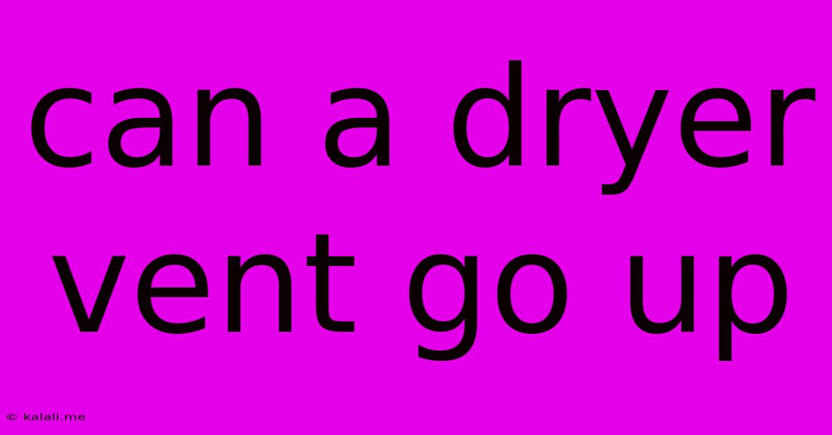 Can A Dryer Vent Go Up