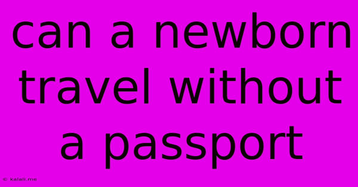 Can A Newborn Travel Without A Passport