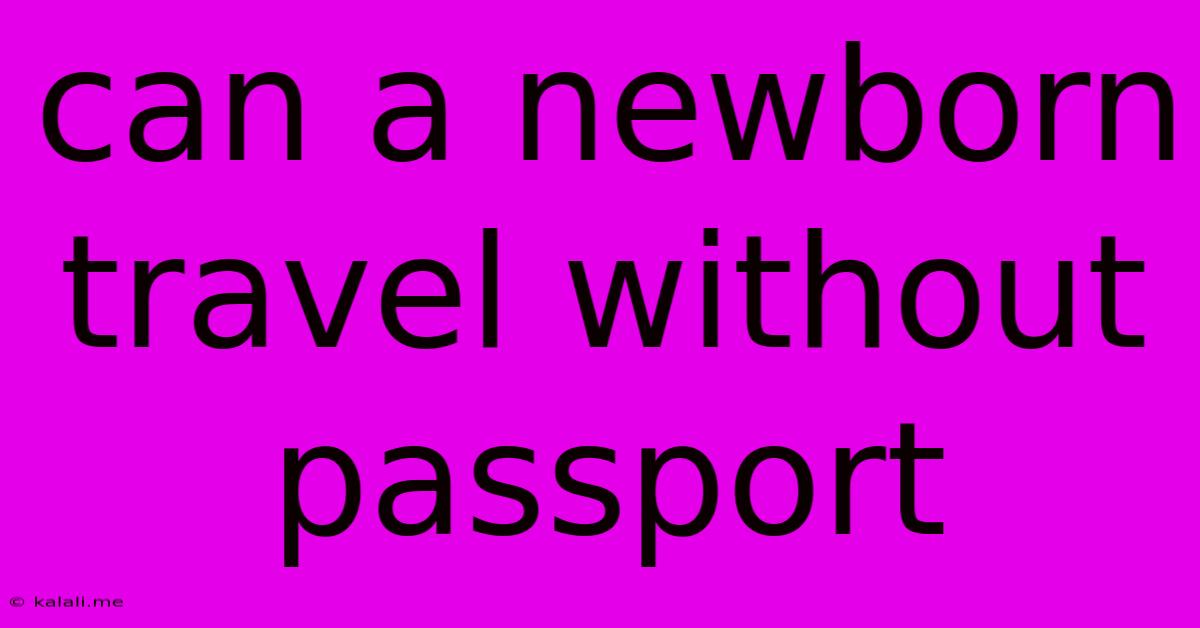 Can A Newborn Travel Without Passport