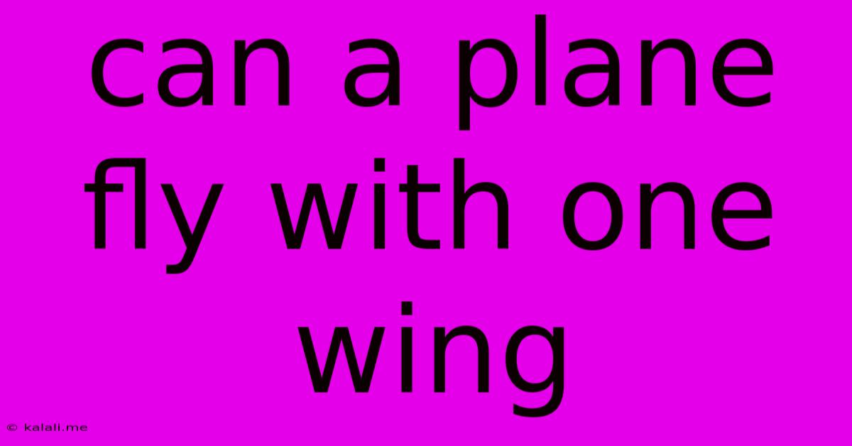 Can A Plane Fly With One Wing