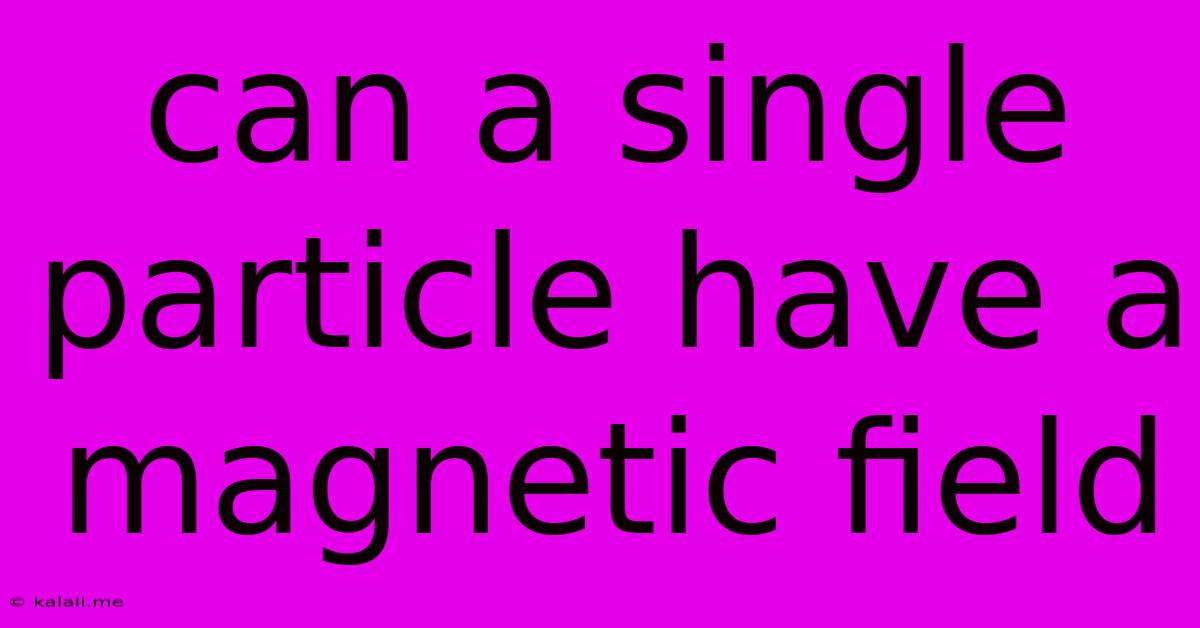 Can A Single Particle Have A Magnetic Field