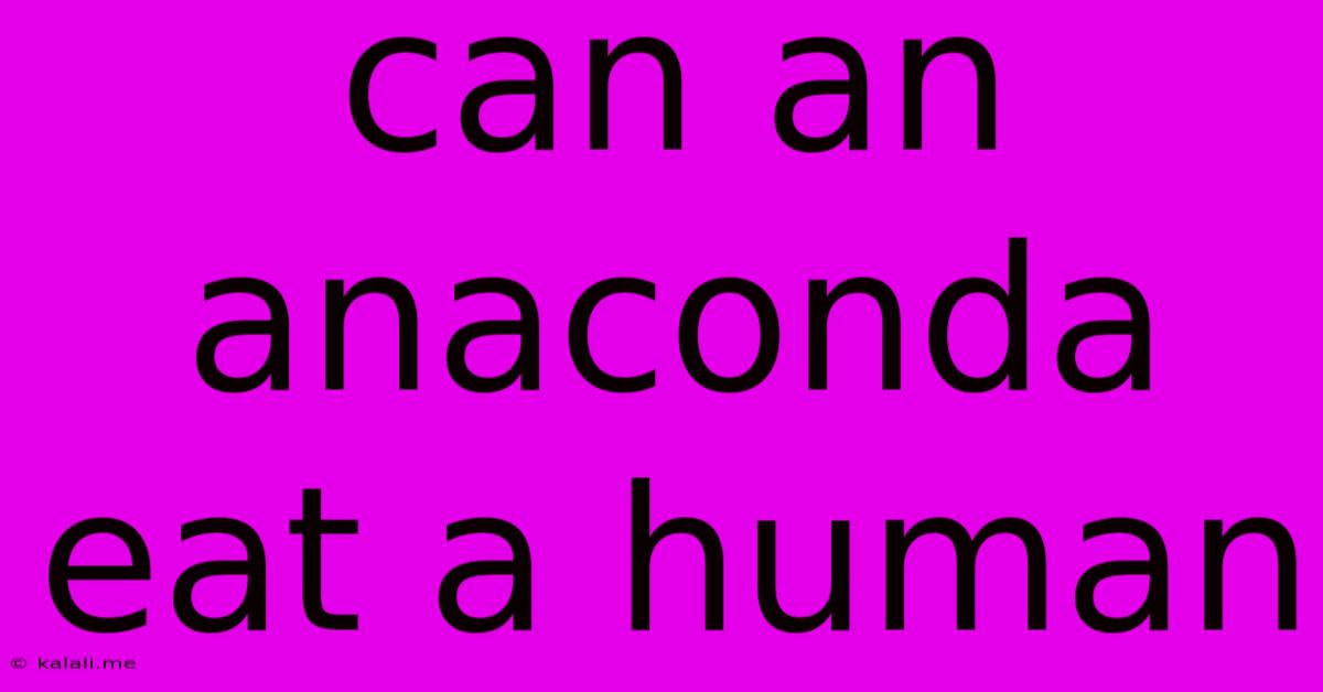 Can An Anaconda Eat A Human