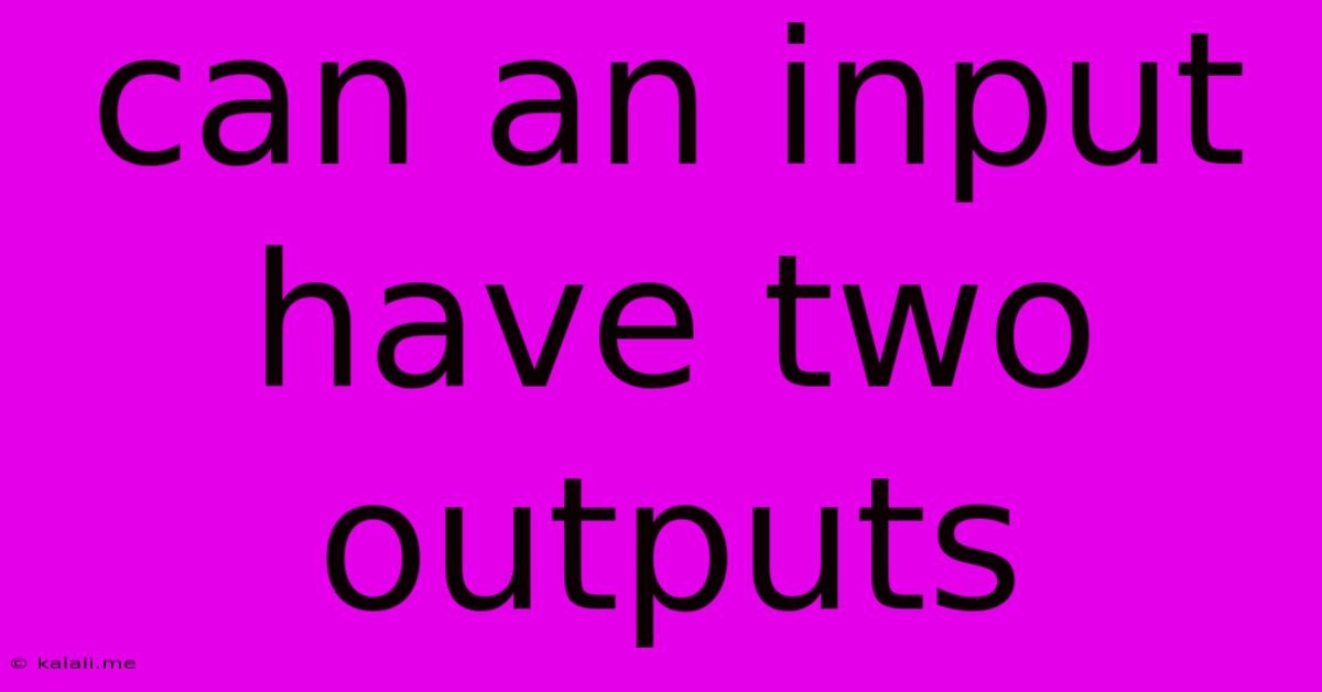 Can An Input Have Two Outputs