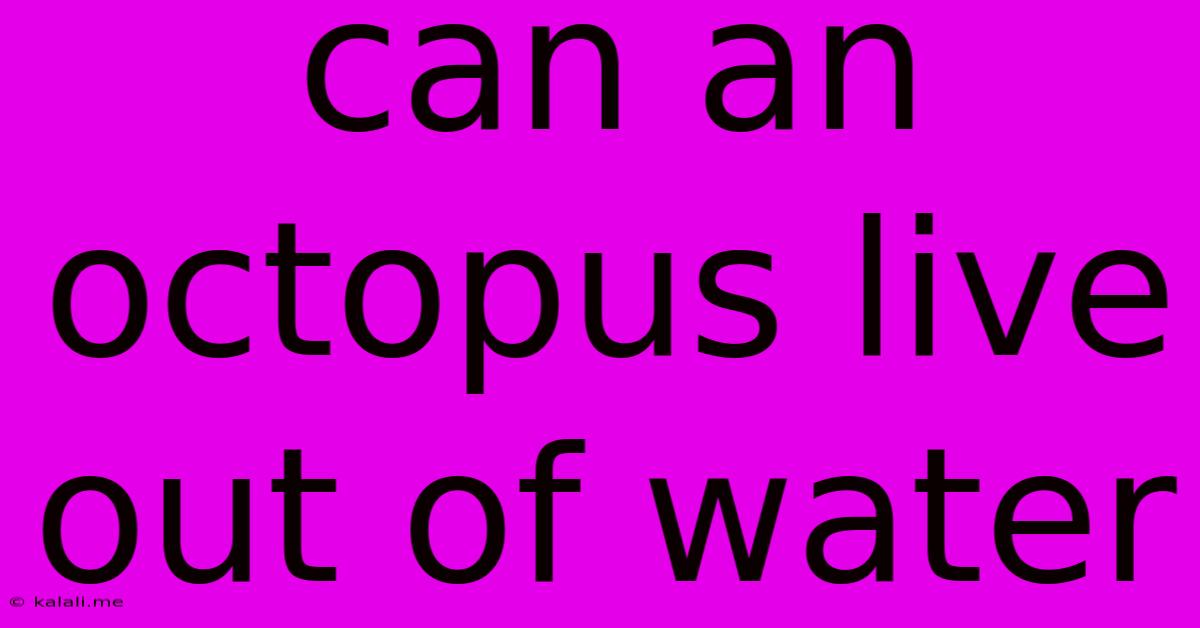 Can An Octopus Live Out Of Water