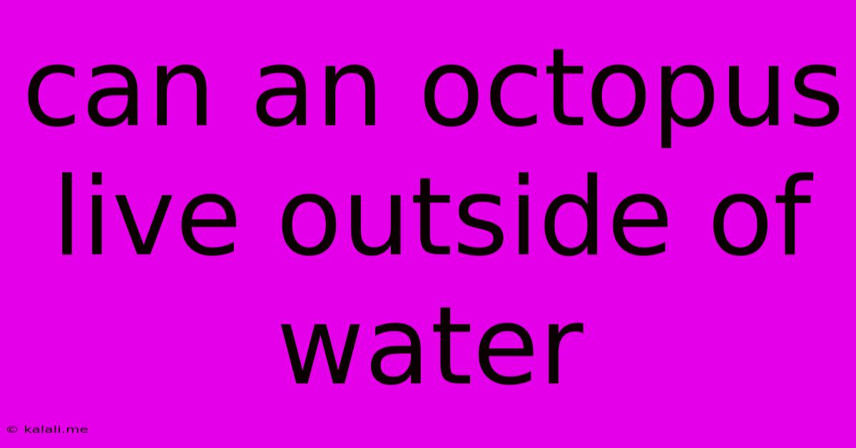 Can An Octopus Live Outside Of Water