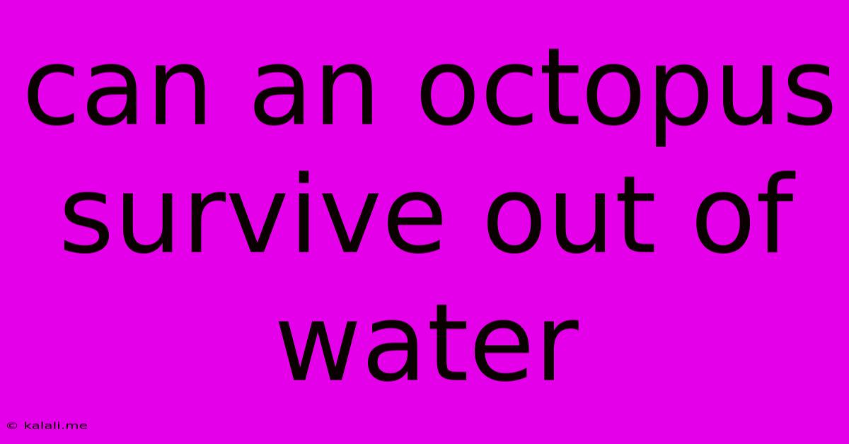 Can An Octopus Survive Out Of Water