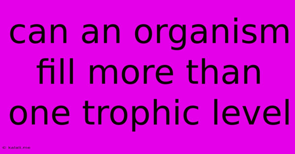 Can An Organism Fill More Than One Trophic Level