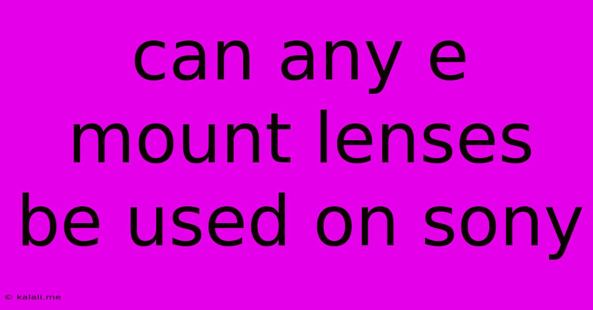 Can Any E Mount Lenses Be Used On Sony