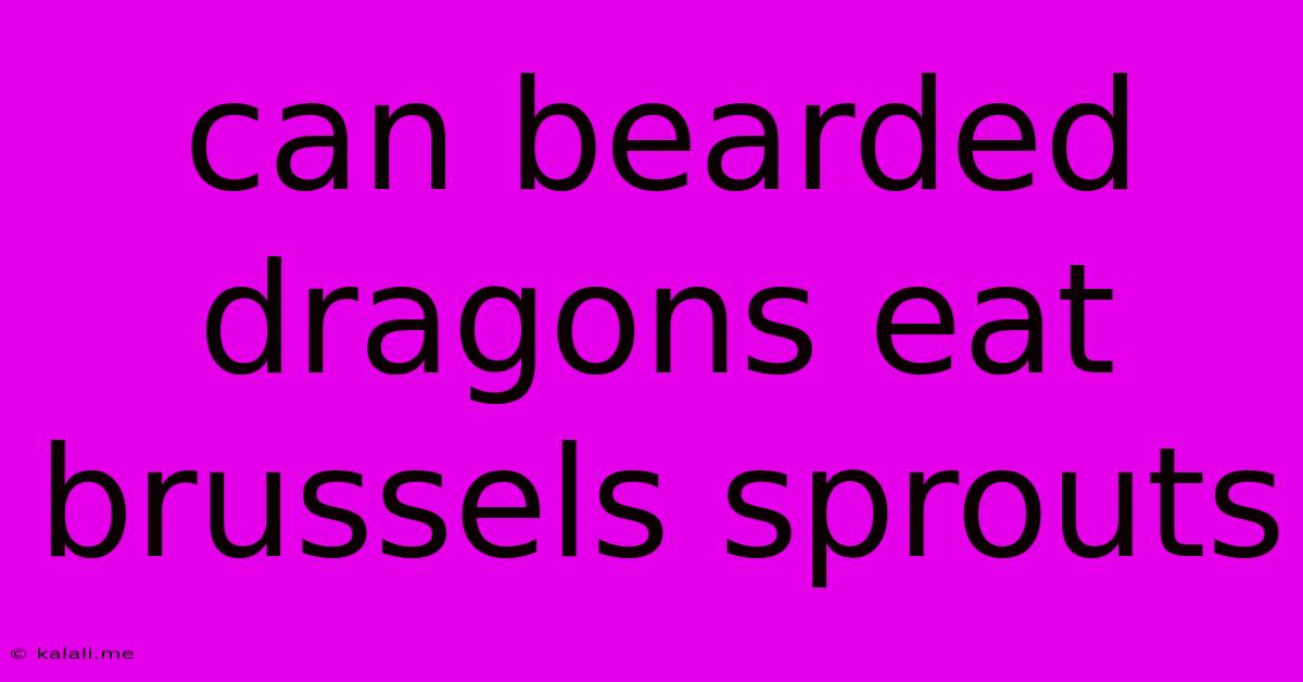 Can Bearded Dragons Eat Brussels Sprouts