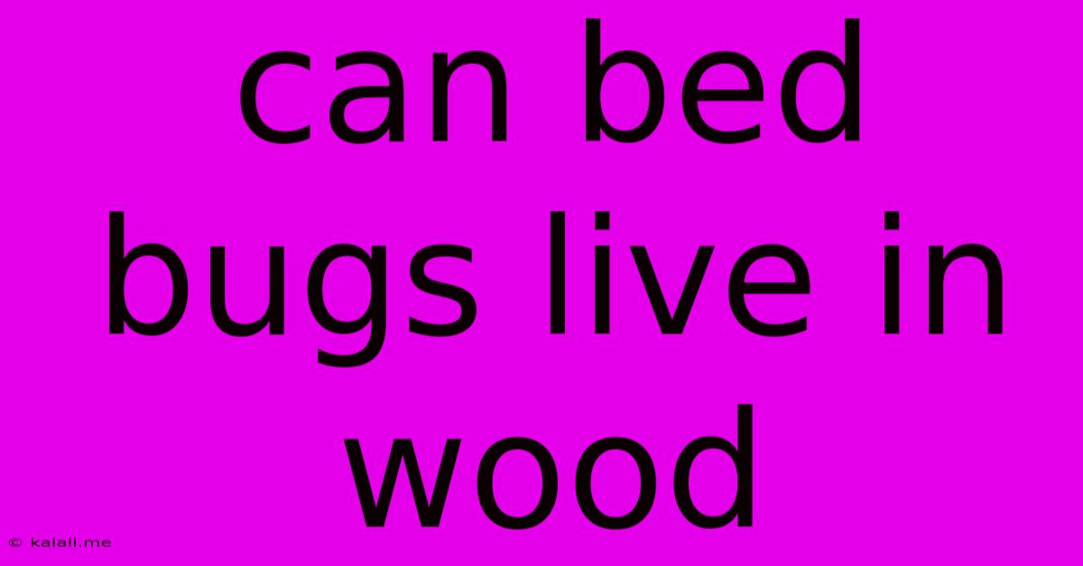 Can Bed Bugs Live In Wood
