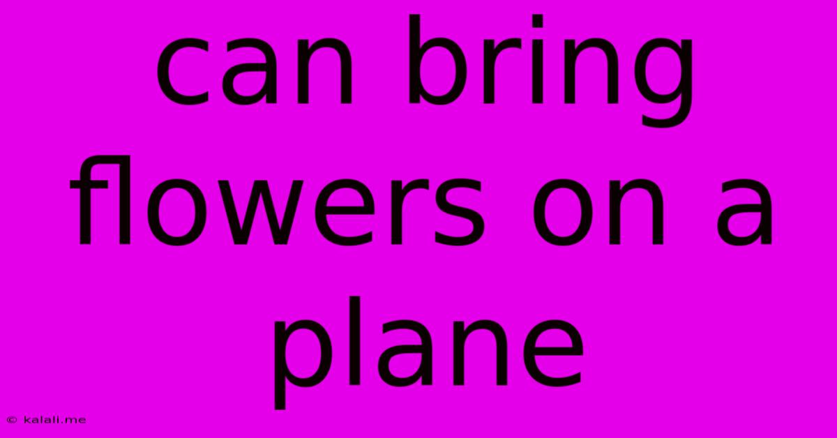 Can Bring Flowers On A Plane