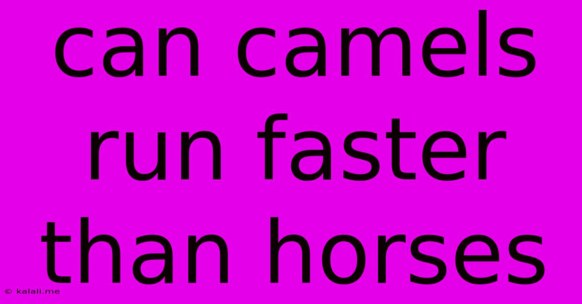 Can Camels Run Faster Than Horses