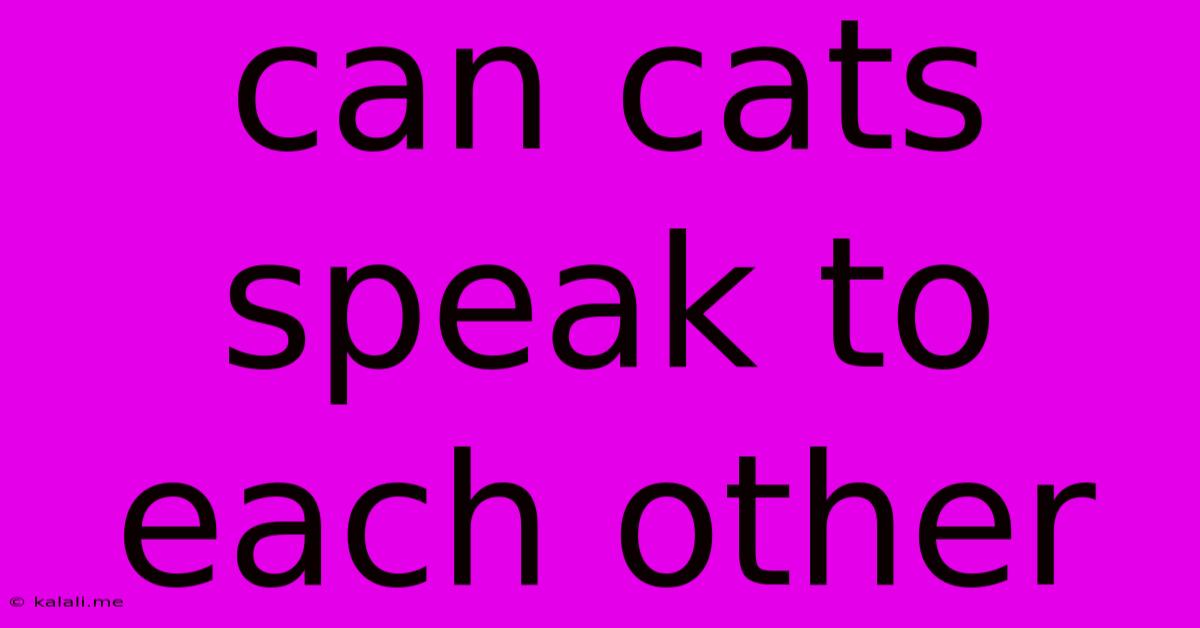 Can Cats Speak To Each Other