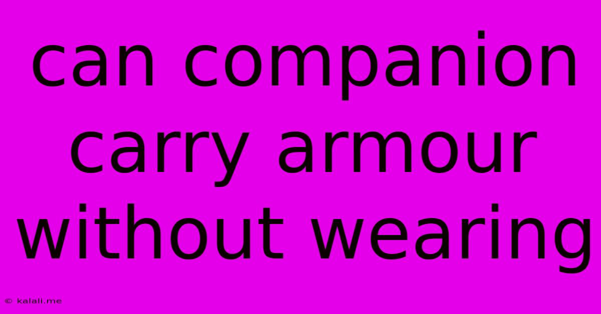 Can Companion Carry Armour Without Wearing
