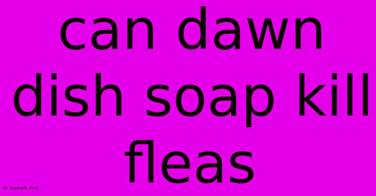 Can Dawn Dish Soap Kill Fleas