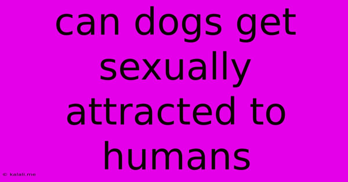 Can Dogs Get Sexually Attracted To Humans