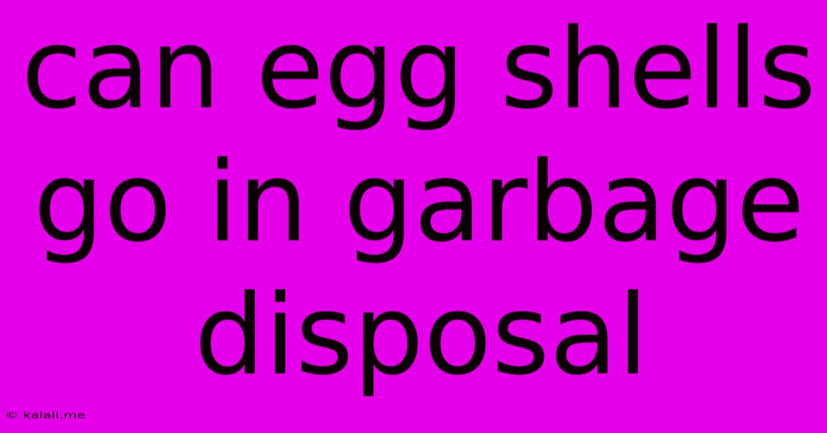 Can Egg Shells Go In Garbage Disposal