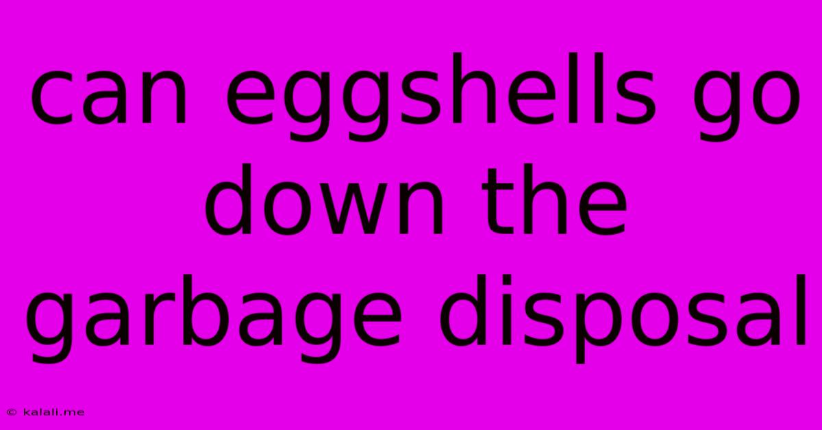 Can Eggshells Go Down The Garbage Disposal
