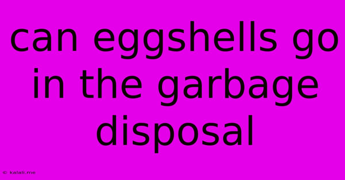 Can Eggshells Go In The Garbage Disposal