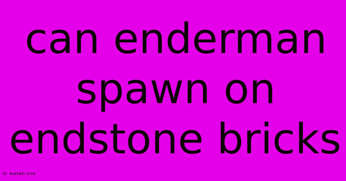 Can Enderman Spawn On Endstone Bricks