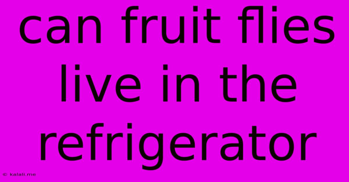 Can Fruit Flies Live In The Refrigerator