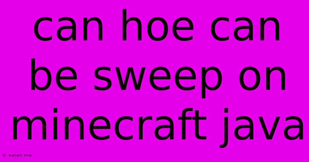 Can Hoe Can Be Sweep On Minecraft Java