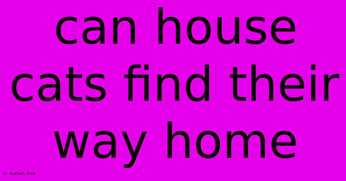 Can House Cats Find Their Way Home