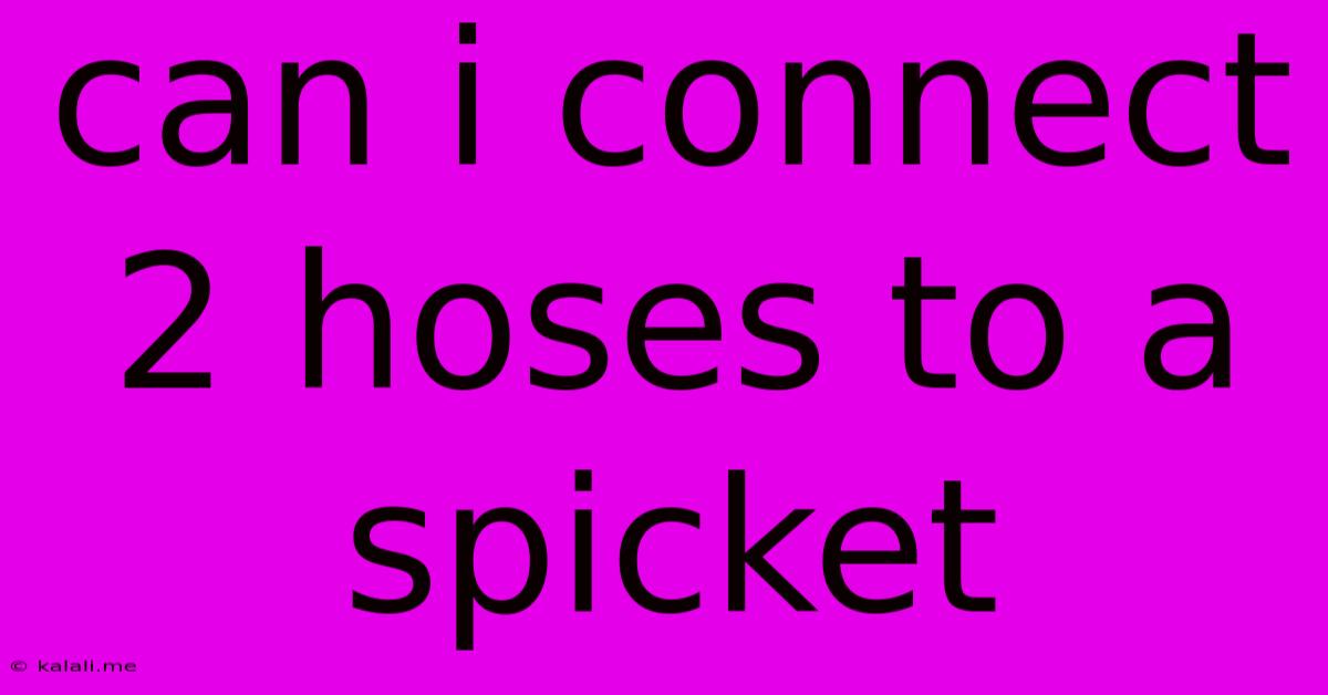 Can I Connect 2 Hoses To A Spicket
