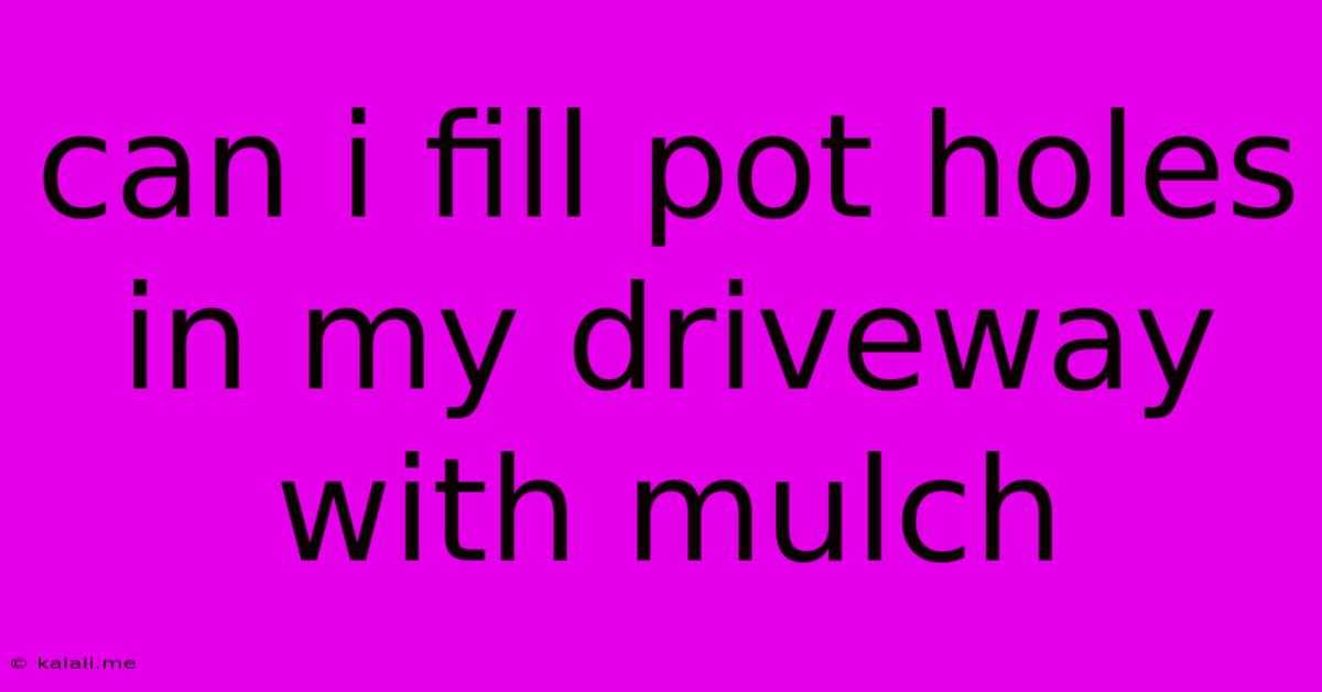 Can I Fill Pot Holes In My Driveway With Mulch