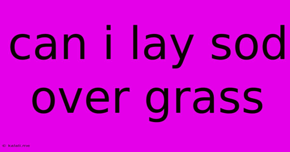 Can I Lay Sod Over Grass