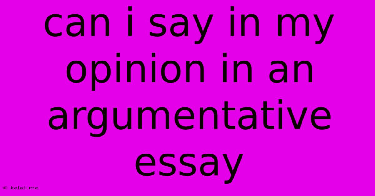 Can I Say In My Opinion In An Argumentative Essay