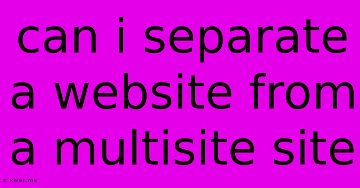 Can I Separate A Website From A Multisite Site
