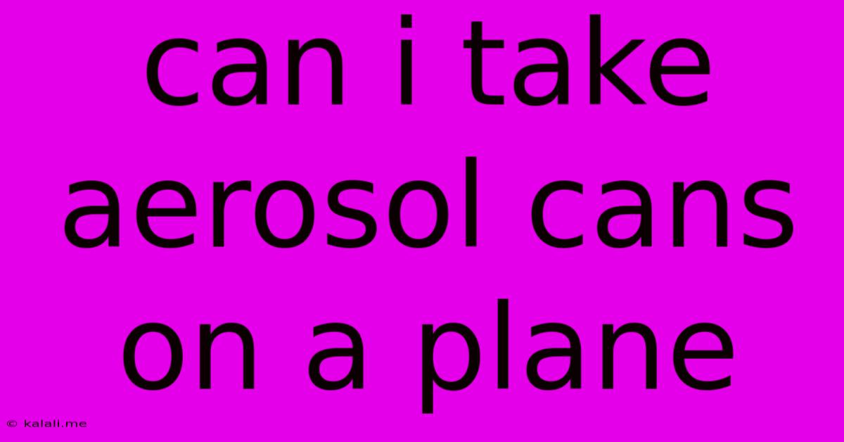 Can I Take Aerosol Cans On A Plane