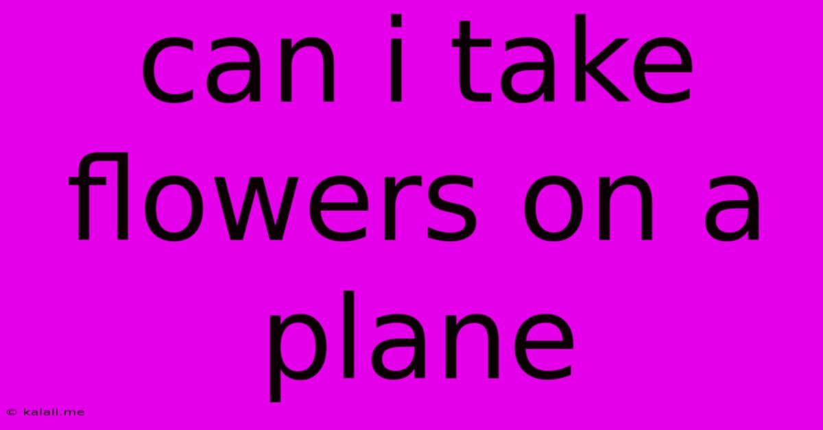 Can I Take Flowers On A Plane