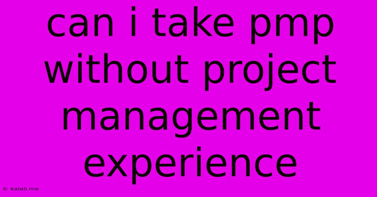 Can I Take Pmp Without Project Management Experience