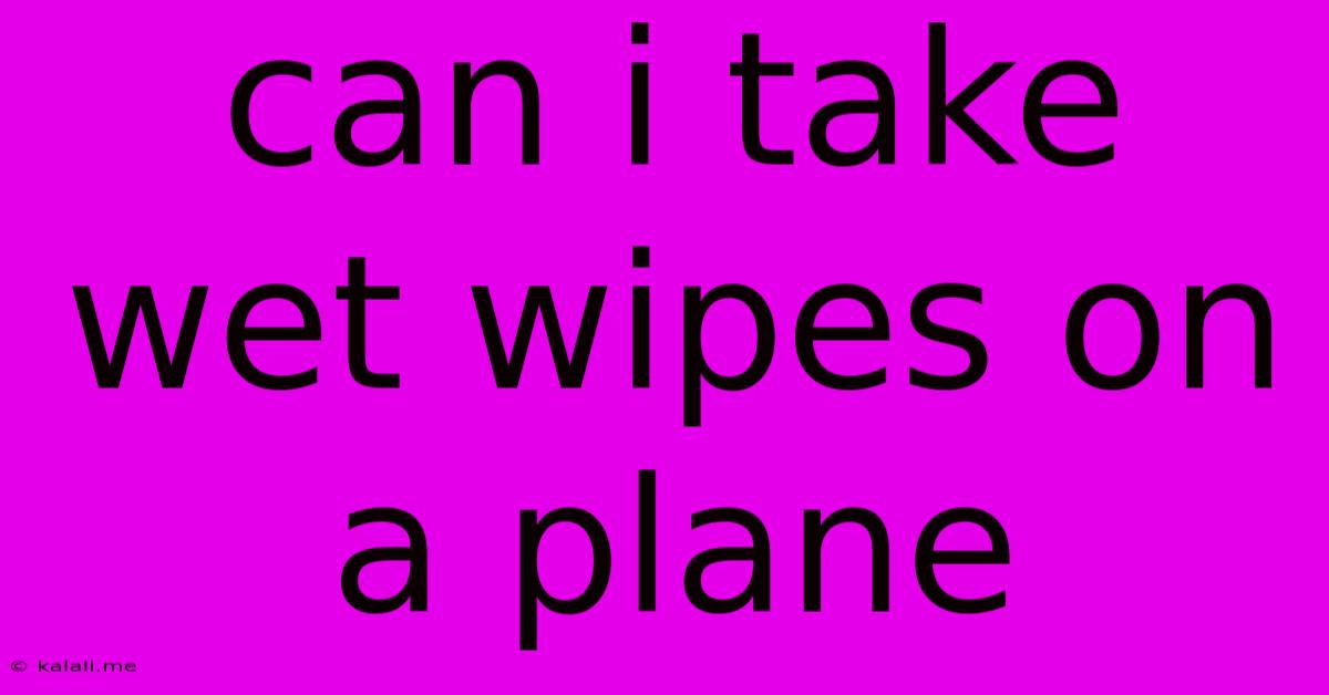 Can I Take Wet Wipes On A Plane