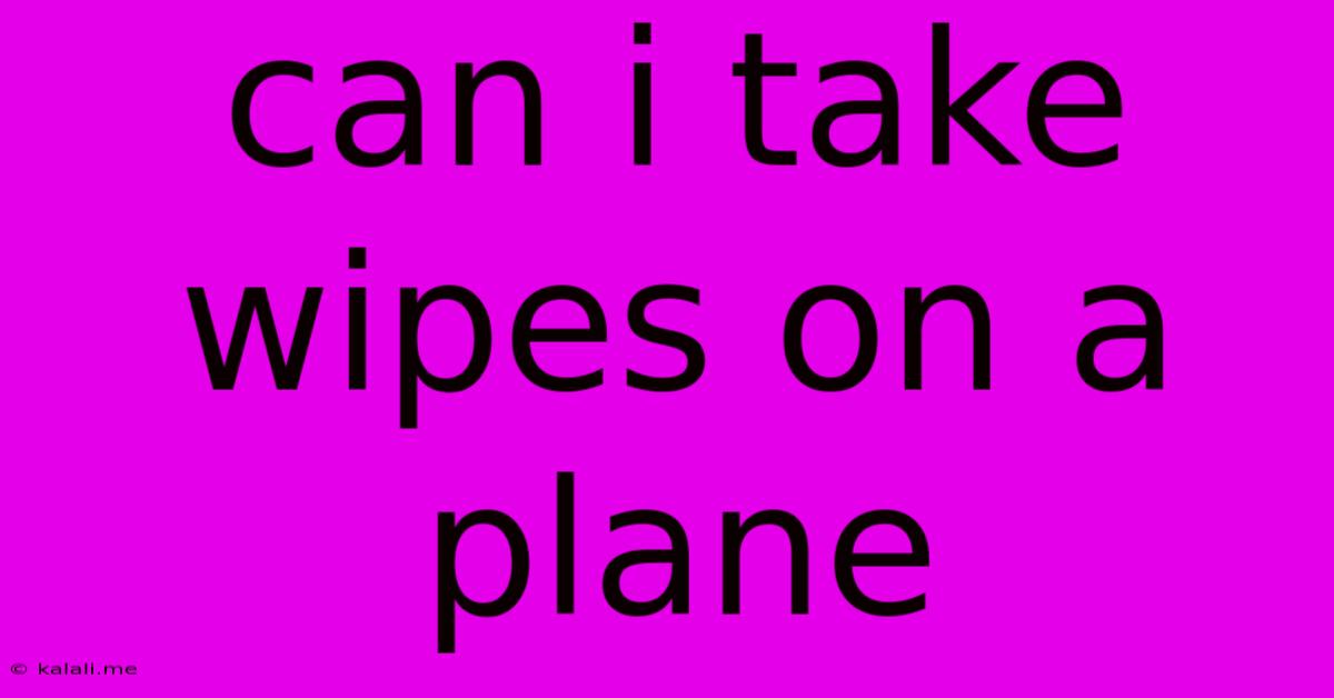 Can I Take Wipes On A Plane