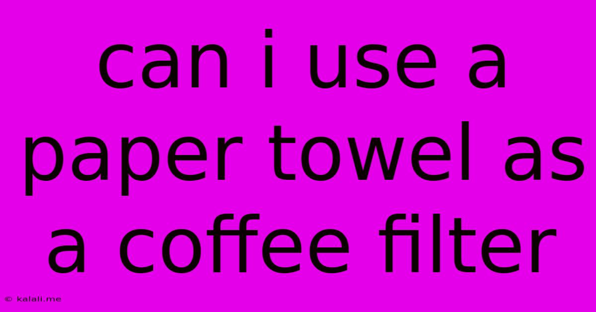 Can I Use A Paper Towel As A Coffee Filter