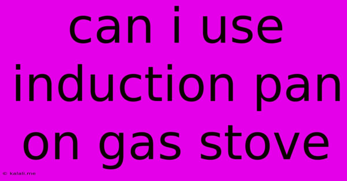 Can I Use Induction Pan On Gas Stove