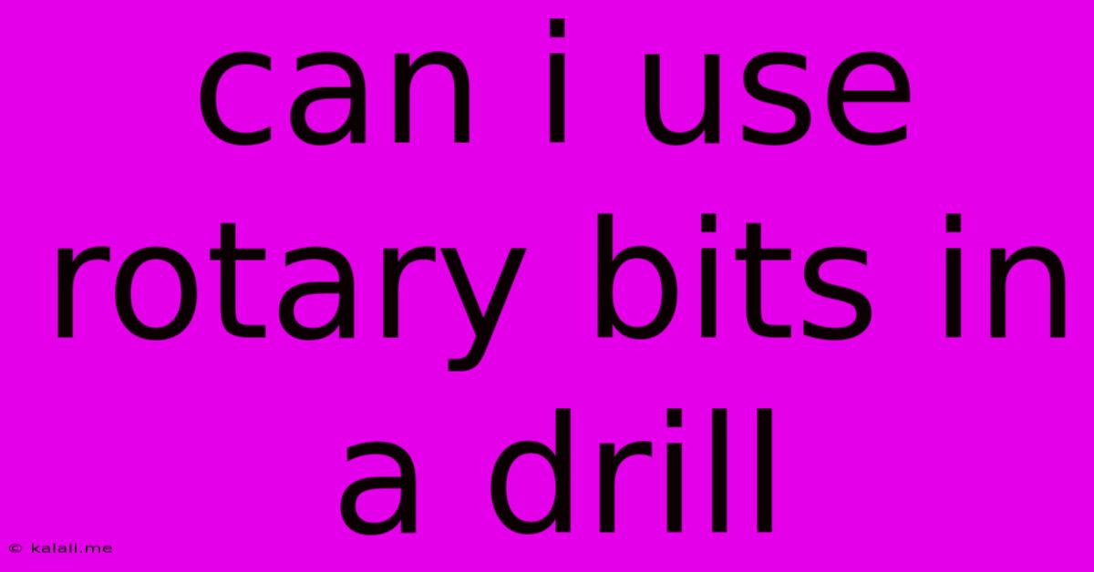 Can I Use Rotary Bits In A Drill