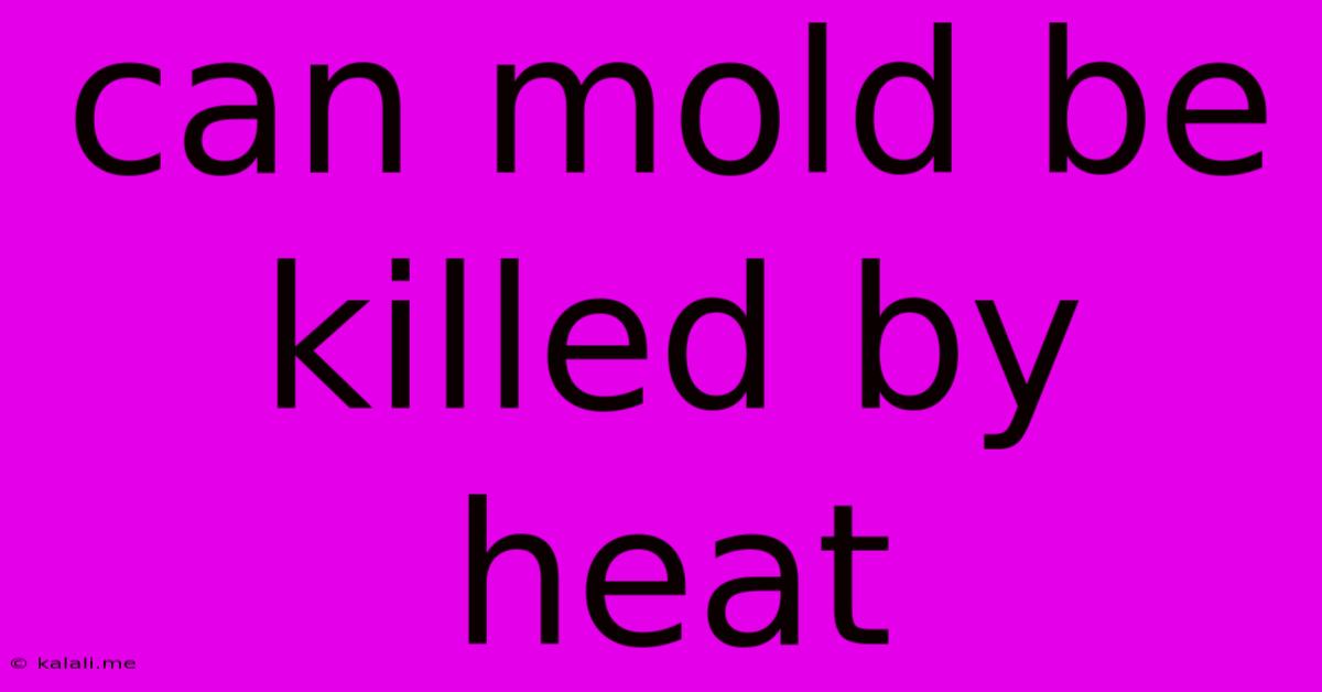 Can Mold Be Killed By Heat