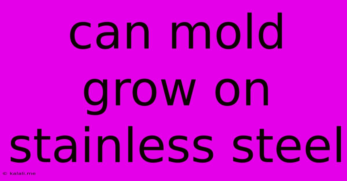 Can Mold Grow On Stainless Steel
