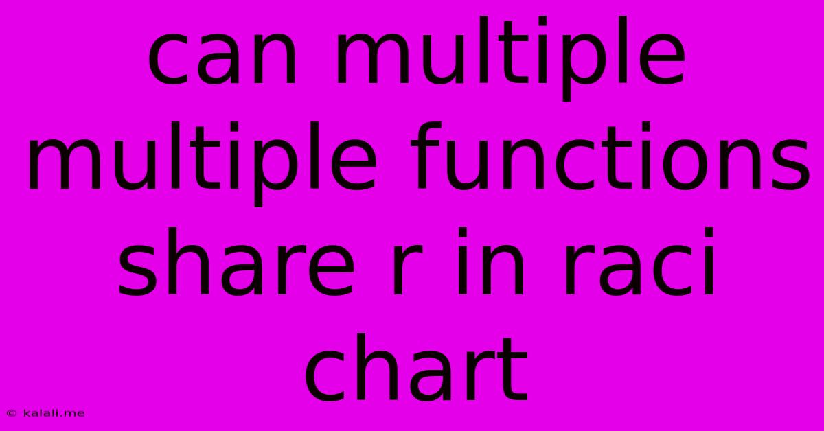 Can Multiple Multiple Functions Share R In Raci Chart