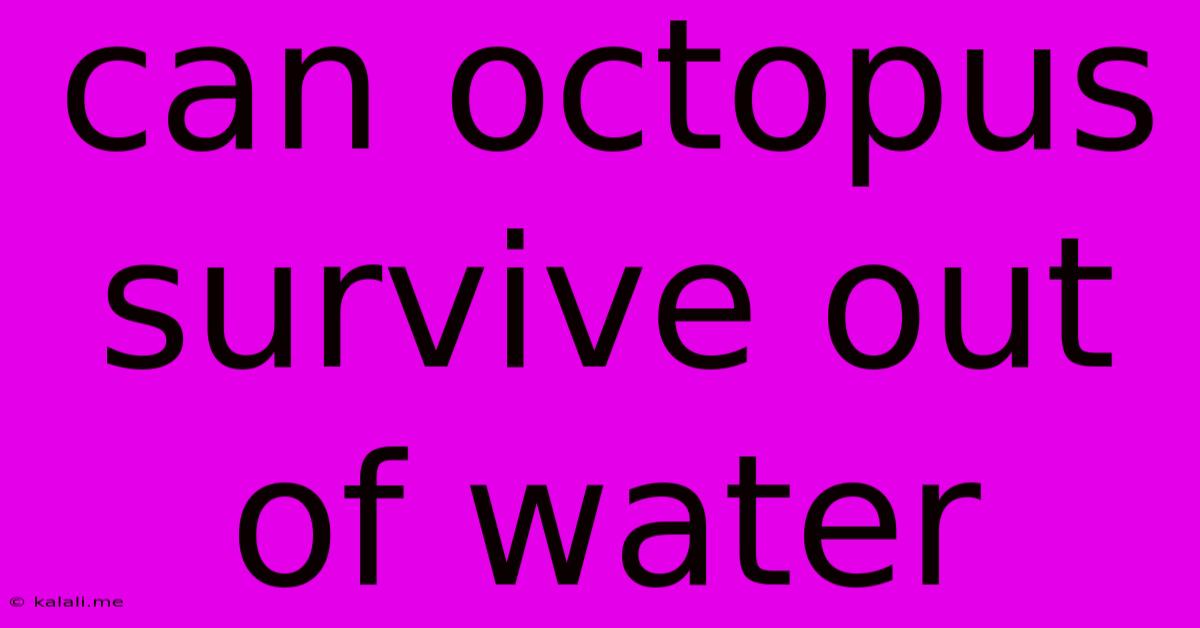 Can Octopus Survive Out Of Water