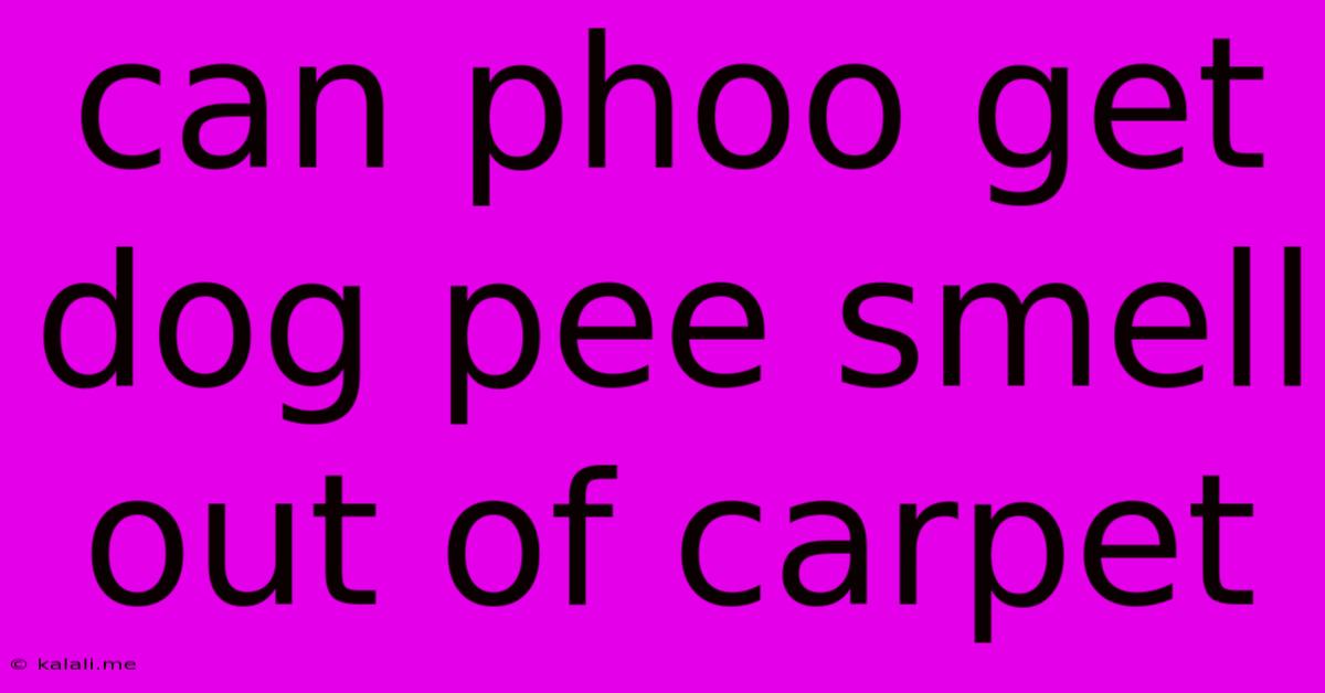 Can Phoo Get Dog Pee Smell Out Of Carpet