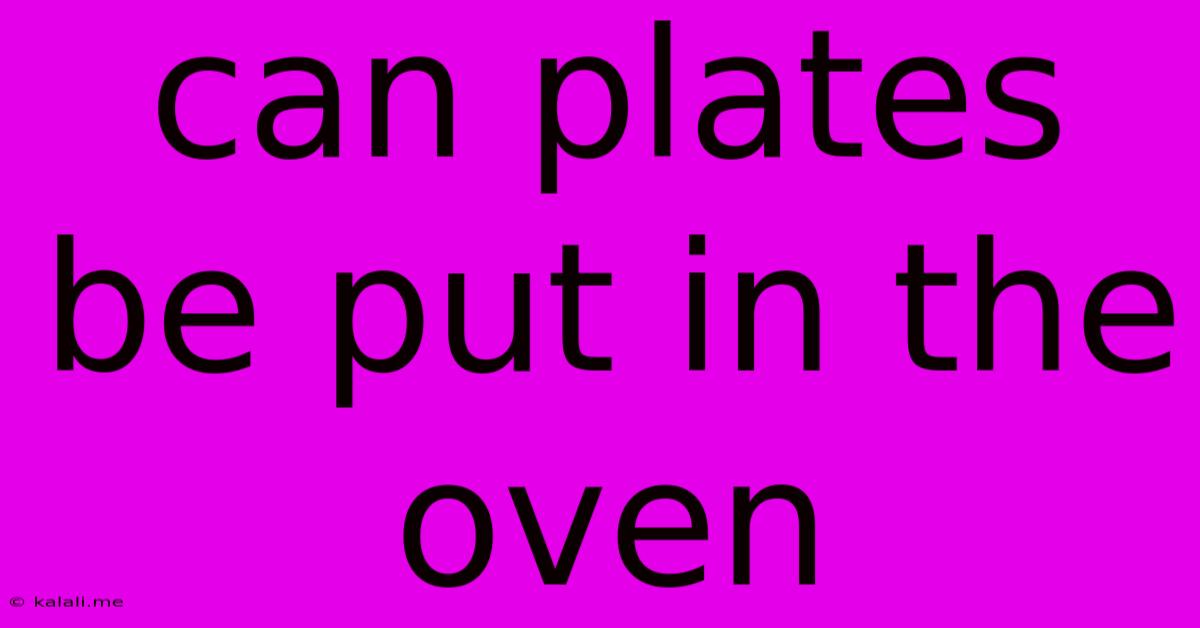 Can Plates Be Put In The Oven